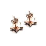 RainSo Fashion Stainless Steel Rose Gold Star Shape Stud Earrings