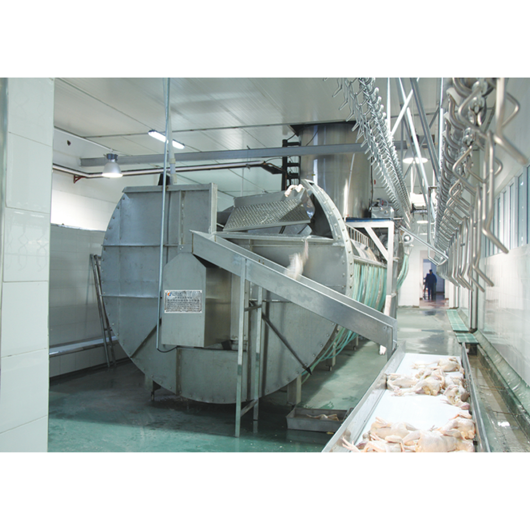 Automatic Halal Chicken Poultry Slaughtering Equipment 200BPH - 12000BPH Customized