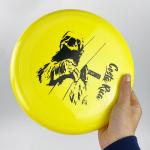 Plastic Ultimate Flying Disc Outdoor Professional Discraft Frisbee 175g