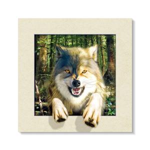 Quality 5D 3D Lenticular Pictures wholesale