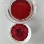 Wholesale Elderberry Powder For Instant Tea Powder