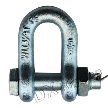 Marine Hardware General Industry JIS Type Shackles Without Collar