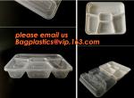 Disposable biodegradable plastic fiffin lunch box,compartment lunch box with lid