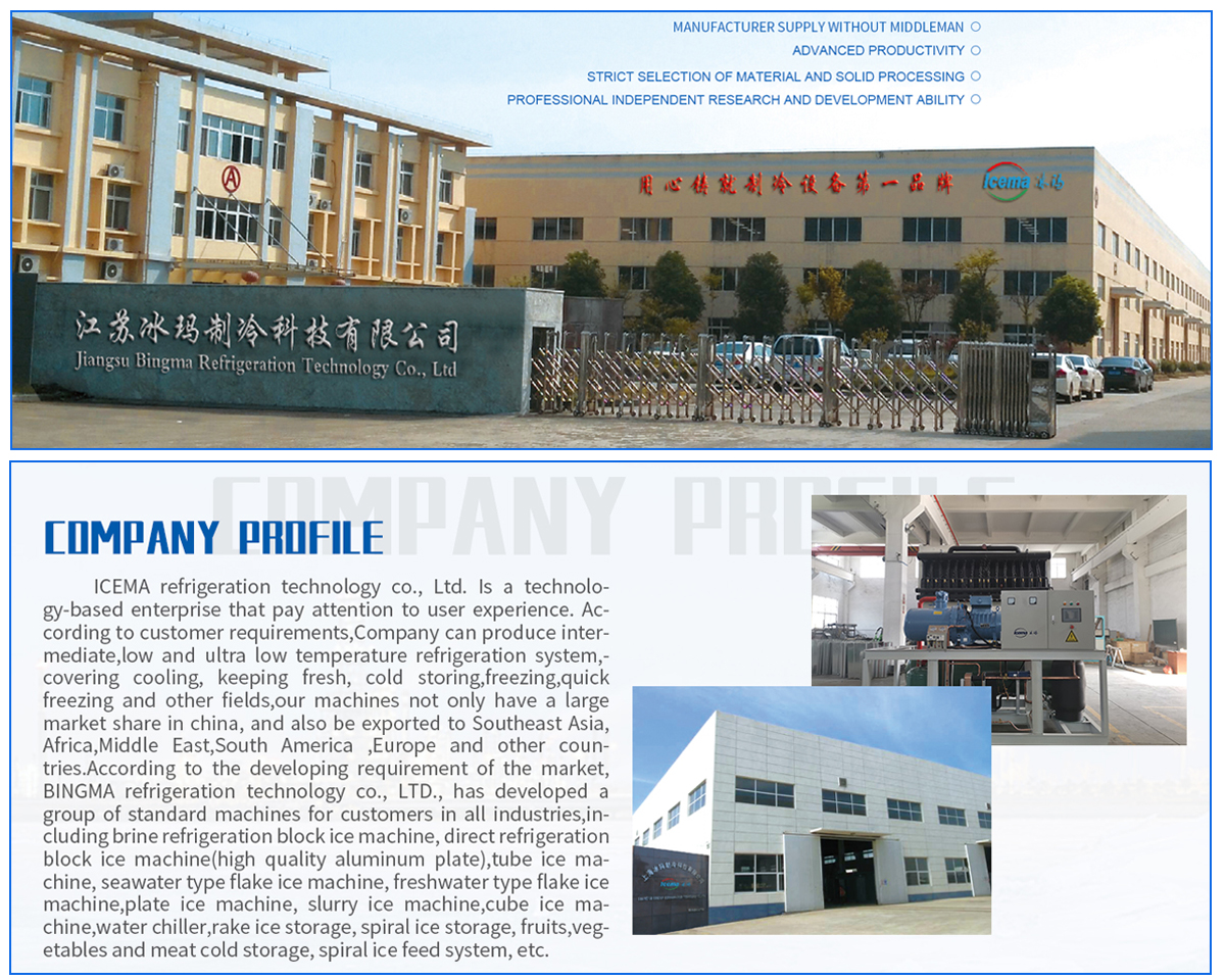 Commercial 1ton Ice Cube Maker Machine Equipped with Demark Danfoss Expansion Valve