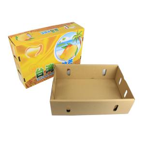 Quality Self Erecting Kiwi Fruit Packing Box wholesale