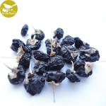 2018 Pure wild organic black goji for health ,black goji berry,dried goji, Wild