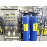 240KG 250LPH 500LPH Reverse Osmosis Water Filter Equipment for Water Treatment