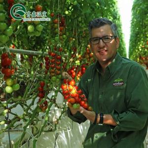 Quality Large Hydroponics Pump for Maximum Growth of Vegetables Fruits and Flowers wholesale