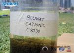 Biological Flocculant Cationic Polyacrylamide Sludge Dewatering Treatment