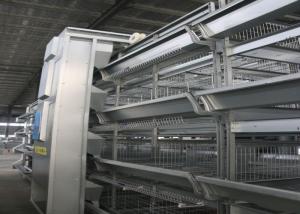 Quality High Capacity Broiler Farming In Cage System Environmental Friendly wholesale