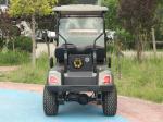 2 Person Golf Cart Buggy 25-40Mph Electric Power Lithium Battery Low Price
