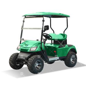 Quality Green Color EV 2 Seats Golf Cart Electric Vehicle With CE Certification Off-Road Tires Road Legal wholesale