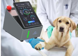 Quality Level Four Equine Laser Therapy Machine 8 Watt Pain Free wholesale