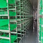 PLC 40ft Barley Automatic Hydroponic Fodder Machine Save Water And Energy
