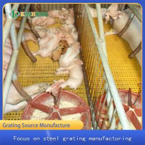 Quality Fiberglass Plastic FRP Molded Grating Grille Cage Floor For Poultry Breeding wholesale