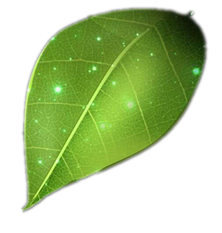 leaf