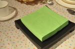 Airlaid Thanksgiving Disposable Napkins , 2Ply 50 Count Hot Pink Paper Napkins