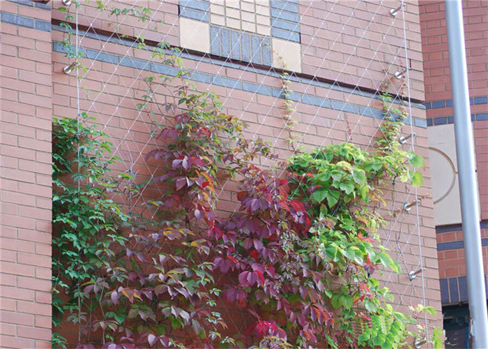 100*100mm Stainless Steel Rope Mesh Green Wall 1mm Garden Mesh Climbing Plant Support