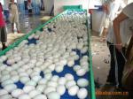 Factory Price Large Capacity Industrial Rubber Conveyor Belt Inclined Rubber