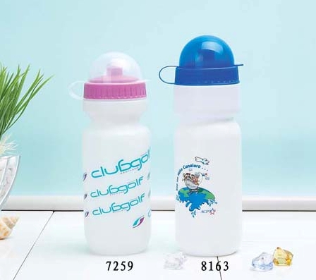 700ml insulated water bottle