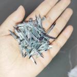 Building Carbon Concrete Nails Manufacturer Flat Head Construction Nail Types