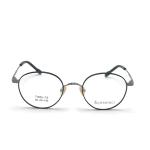 TD025 Fashionable Titanium Frame Sunglasses for Women