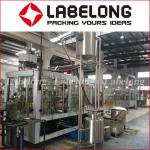 Glass Bottle 3500kg 5000 BPH Mango Juice Filling Machine