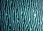 Solid Printed Toughened And Laminated Glass Tile