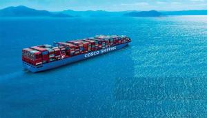 Quality 2-4 Weeks Delivery Logistics Sea Freight Shipping Services From China To Usa wholesale