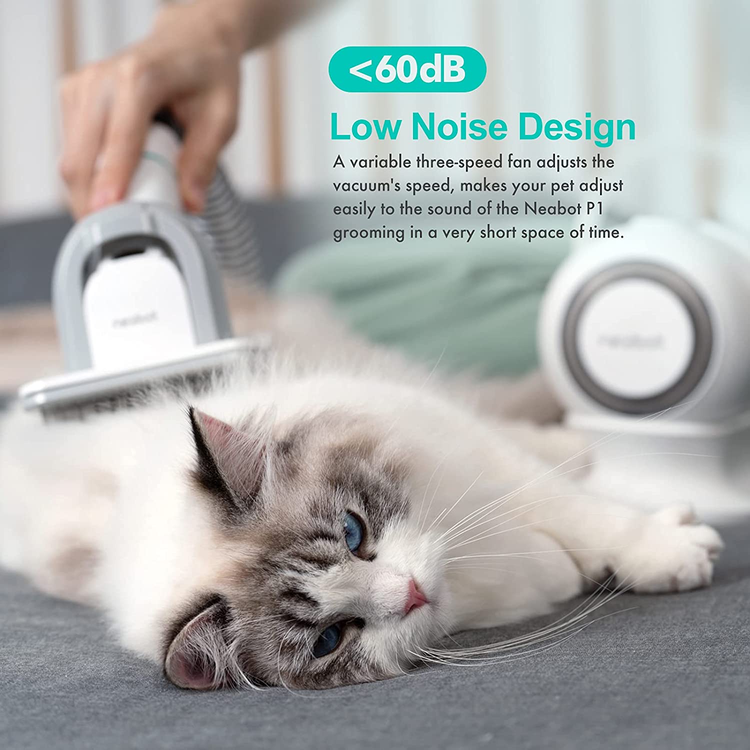 Pet Grooming Kit Low db Vacuum Cleaner Trimmers Blades Charging Time Not Applicable