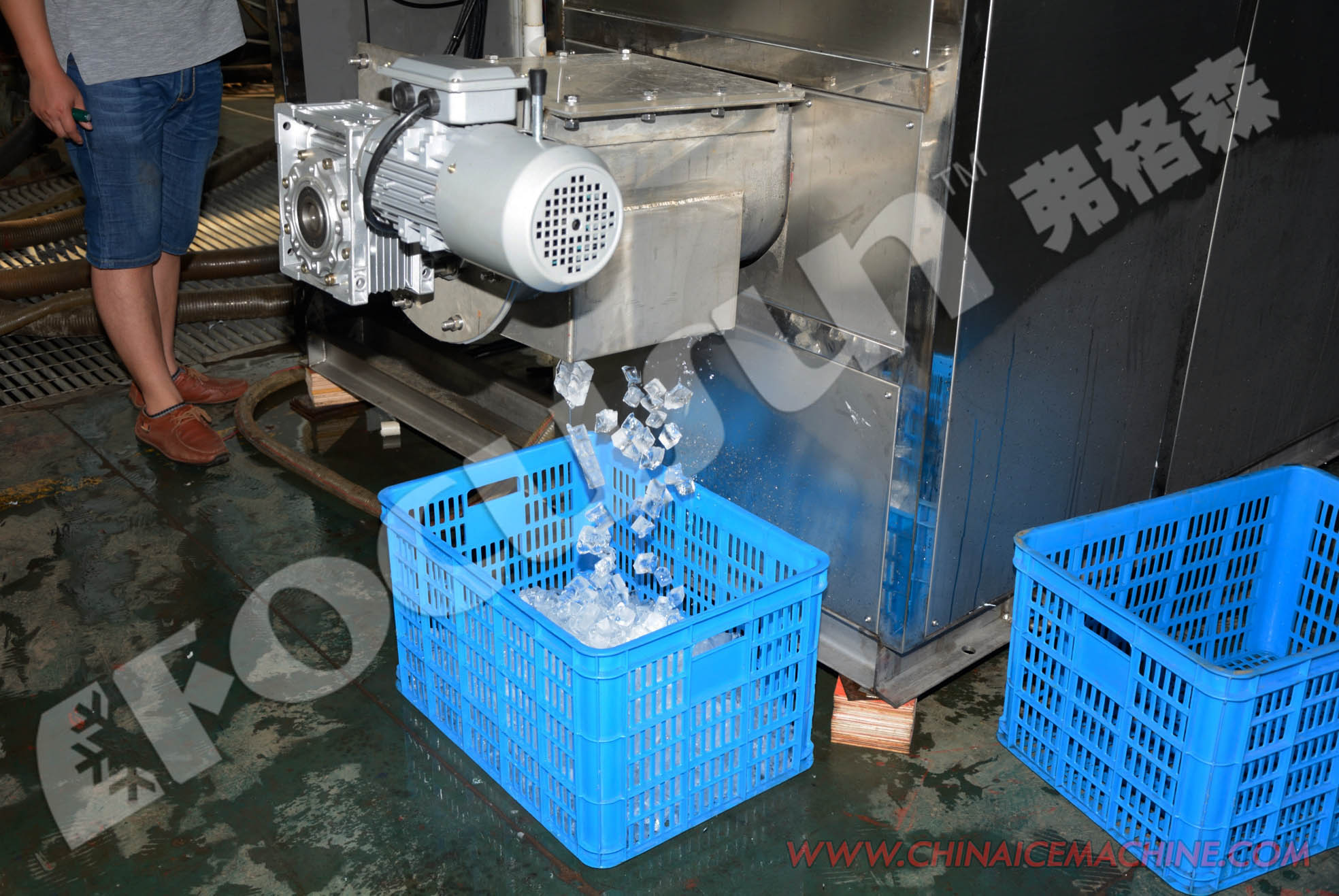 Stainless Steel Ice Cube Machine for Water Ww Pump Blue Brine Provided Supermarket