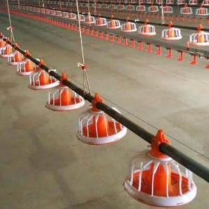 Quality Automatic feeding pan system Animal Feeders black soldier fly farm equipment wholesale
