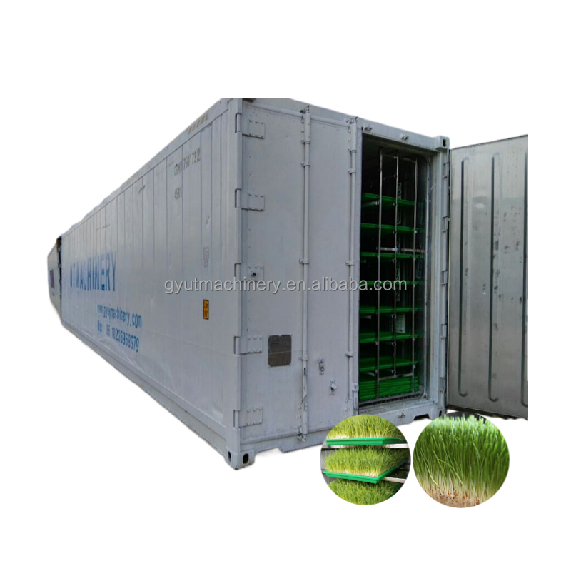 Container Type Wheat Seed and Barley Grass Sprouting Machine for Manufacturing Plant