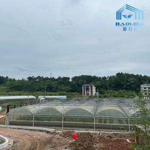 Quality Intelligent Galvanized Tube Steel Pipe Tomato Plastic Film Arch Hothouse Agricultural Multi-span Greenhouse For Sale wholesale
