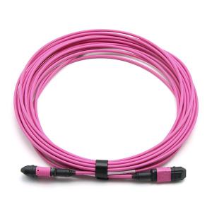 Quality Male To Female MPO Trunk Cable Assembly 12 Fibers Polarity A OM4 OFNP Magenta Jacket wholesale