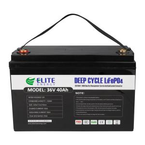 Quality IP54 36V LiFePO4 Battery wholesale