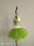 Toddler Dance Leotards , Dance Outfits For Girls