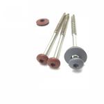 Aisi 316 SS Stainless Steel Chipboard Screws , A4 Torx Pan Painted Head