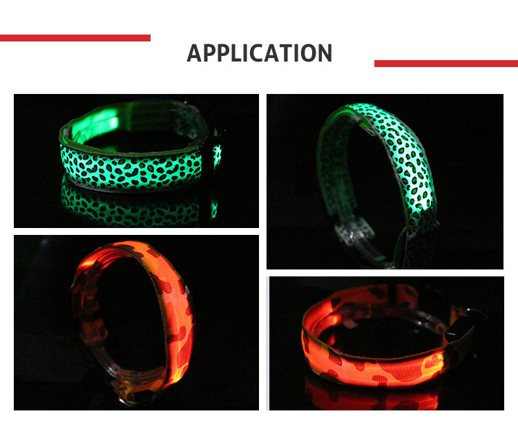 Flashing Light Up LED Dog Collar / OEM Illuminated Dog Collar Leash