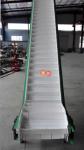 Food Grade PU Belt 304 Stainless Steel White Color Food Belt Conveyor for Potato