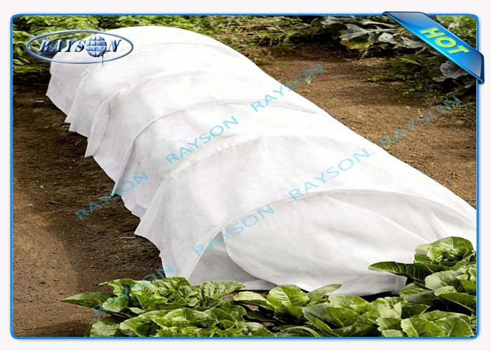 Biodegradable / Breathable 40gr Pp Spunbond Non Woven Agriculture Fabric Wild Width