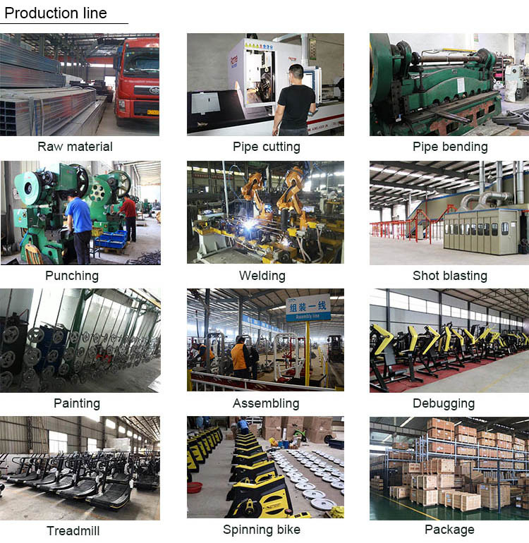 Professional Hammer Strength Plate Loaded Equipment / Seated Low Row Machine