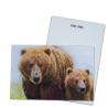 Buy cheap Brown Bear In Alaska Lenticular Card Souvenir Gift Card For Tourist 3d Postcards from wholesalers