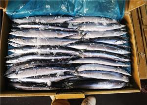 Quality 90g Whole Round Cololabis Saira Frozen Pacific Saury wholesale