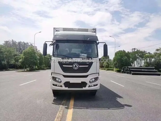 11-20T Cummins Manual Fast Automatic Camera Refrigeration Truck Left Van Euro 6 4x2 Dongfeng Used