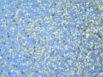 60/40 Micron CBN Powder / Particles , Eco Friendly Synthetic Abrasive Material