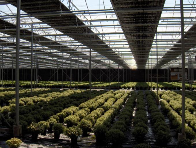 Commercial Automatic Blackout Greenhouse Polyethylene Film Material Made 0
