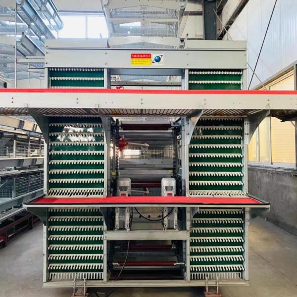 Designed For Laying Hens, This Poultry Farm House Layer Battery Cage , Ensuring