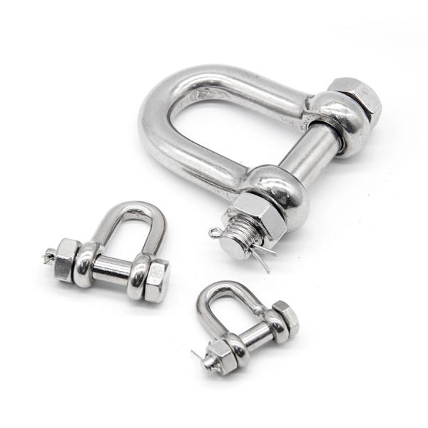 Cheap Ss304 316 Bolt D Type Shackle For Connection And Fastening for sale