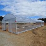 Steel Pipe Dome Metal Hoop Greenhouse Galvanized Prefabricated Single Tunnel